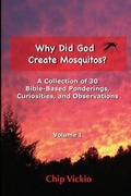Cover: Why Did God Create Mosquitos? - Cabin in the Corner Publishing