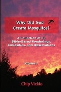 Enlarge image Cover: Why Did God Create Mosquitos? - Cabin in the Corner Publishing