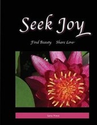 Abbildung von: Seek Joy - Niche Publishing and Marketing