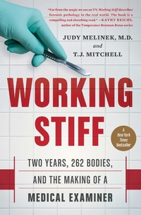 Abbildung von: Working Stiff - Scribner