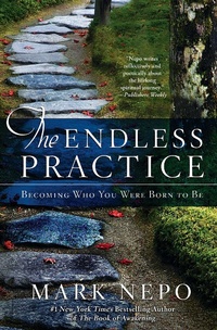 Enlarge image Cover: The Endless Practice - Atria Books