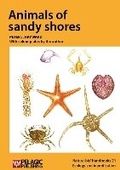 Cover: Animals of sandy shores - Pelagic Publishing