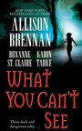 Cover: What You Can't See - Gallery Books