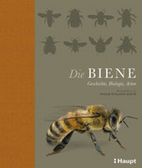 Abbildung von: Die Biene - Haupt Verlag