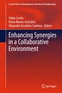 Cover: Enhancing Synergies in a Collaborative Environment - Springer