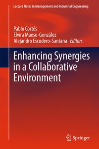 Enlarge image Cover: Enhancing Synergies in a Collaborative Environment - Springer