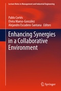 Cover: Enhancing Synergies in a Collaborative Environment - Springer