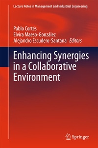 Enlarge image Cover: Enhancing Synergies in a Collaborative Environment - Springer