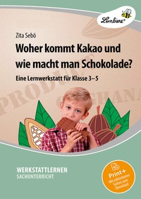 Abbildung von: Woher kommt Kakao und wie macht man Schokolade? - Lernbiene