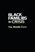 Cover: Black Families In Crisis - Routledge