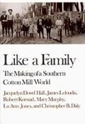 Cover: LIKE A FAMILY PA - WW Norton & Co