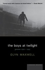 Cover: The Boys at Twilight - Houghton Mifflin (Trade)