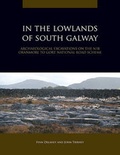 Cover: In the Lowlands of South Galway - National Roads Authority