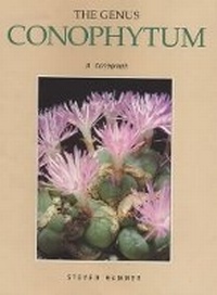Enlarge image Cover: The Genus Conophytum - Umdaus Press,South Africa
