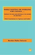 Cover: While Waiting or Working for Change - Red Sea Press,U.S.