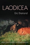 Cover: Laodicea - Omnidawn Publishing