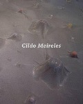 Cover: Cildo Meireles - Tate Publishing