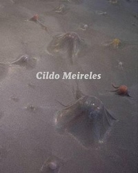 Enlarge image Cover: Cildo Meireles - Tate Publishing