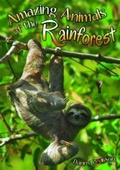 Cover: Amazing Animals of the Rainforest - Badger Publishing
