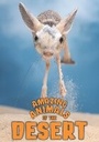 Cover: Amazing Animals of the Desert - Badger Publishing