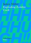 Cover: Exploding Zombie Cock - Galley Beggar Press