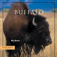 Enlarge image Cover: Buffalo - Rio Nuevo Publishers
