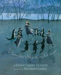 Cover: When the Sky Is Like Lace - Islandport Press