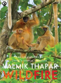 Enlarge image Cover: Wild Fire - Aleph Book Company