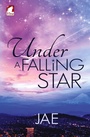 Cover: Under a Falling Star - Ylva Verlag E.Kfr.
