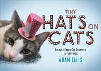 Enlarge image Cover: Tiny Hats on Cats - Sphere