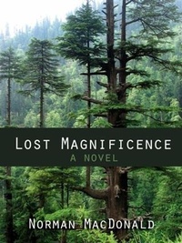 Enlarge image Cover: Lost Magnificence - Trans Canada Press