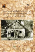 Cover: Faszination Salzbergwerke im Salzkammergut und seine Bahnen - Verein Railway-Media-Group