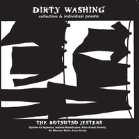 Abbildung von: Dirty Washing - Botsotso Publishing