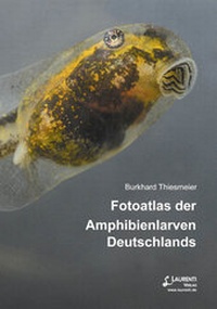 Abbildung von: Fotoatlas der Amphibienlarven Deutschlands - Laurenti