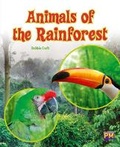 Cover: Animals of the Rainforest - Cengage Learning Australia
