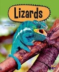 Cover: Lizards - Cengage Learning Australia