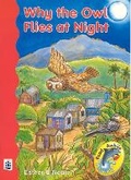 Cover: Why The Owl Flies At Night - Pearson Education Limited
