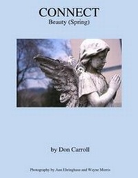 Enlarge image Cover: Connect - Little Peak Creek Publishing Company
