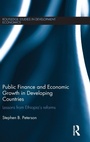 Bild: Public Finance and Economic Growth in Developing Countries - Routledge
