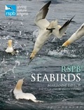 Cover: RSPB Seabirds - Bloomsbury Natural History