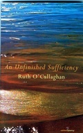 Cover: An Unfinished Sufficiency - Salmon Poetry