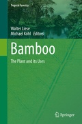Cover: Bamboo - Springer