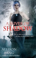 Cover: A Sliver of Shadow - Gallery