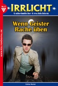 Cover: Irrlicht 17 - Mystik - Kelter, M