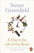 Cover: A Day in the Life of the Brain - Penguin Books Ltd