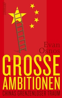Abbildung von: Große Ambitionen - Suhrkamp
