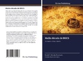 Cover: Media decada de BRICS - Dictus Publishing