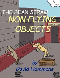 Enlarge image Cover: The Bean Straw: Non-Flying Objects - Dmr Innovations