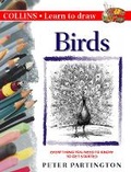 Cover: Birds - Collins