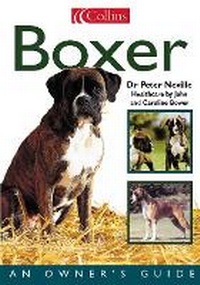 Enlarge image Cover: Boxer - Collins